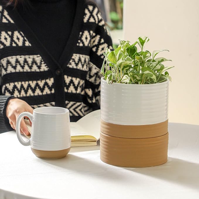 HASENSE Self Watering Plant Pot, 6 Inch Porcelain Planter with Drainage Hole and Saucers for Indoor & Outdoor Plants, Round Flower Pots for Houserwarming Gift, White