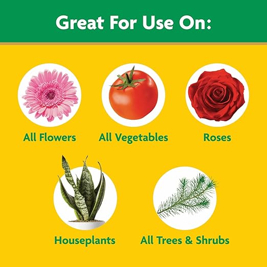 Miracle-Gro Water Soluble All Purpose Plant Food - Fertilizer For All Indoor or Outdoor Plants including Roses, Flowers, Vegetables, Houseplants, Trees, and Shrubs, 5.5 lb. Bag