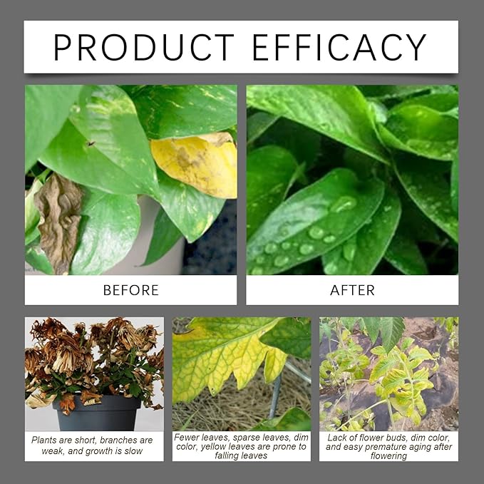 Soil Pro Activator, 7 Fl Oz Soil Activator for Plants, Water-Soluble Formula, Enhance Growth for Vegetables & All Plants (2pcs)