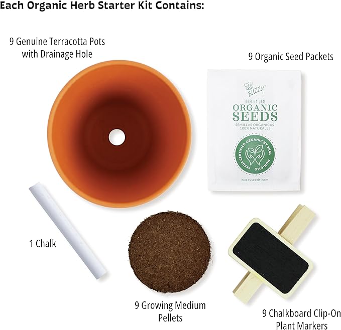 BUZZY Seeds Apothecary Garden Wellness Kit with 9 Varieties of Non-GMO Flower and Herb Seeds, Terracotta Pots, Growing Medium, and Plant Markers, a Self-Care Gift for Holistic Living