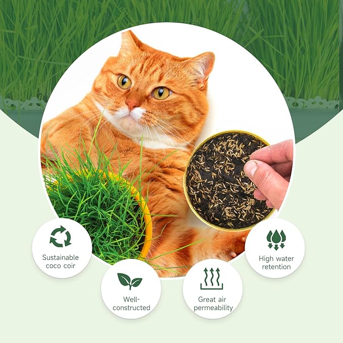 Organic Potting Soil for Indoor Cat Grass, Great Seedling Soil for Wheat Grass, Bermuda, Catnip, and All Indoor Herb Plants