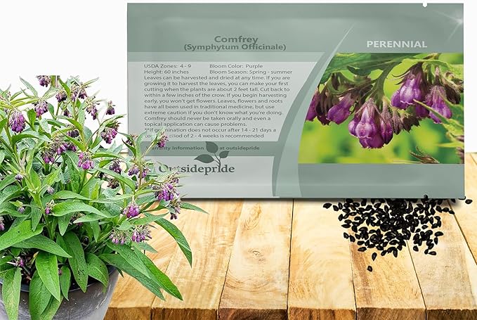 Outsidepride Comfrey Seeds - 100 Pcs. Perennial, Drought-Tolerant & Low Maintenance, Herb Seeds for Planting Tall, Vibrant Bell-Shaped Purple Blooms for Versatile Uses & Pollinator Gardens