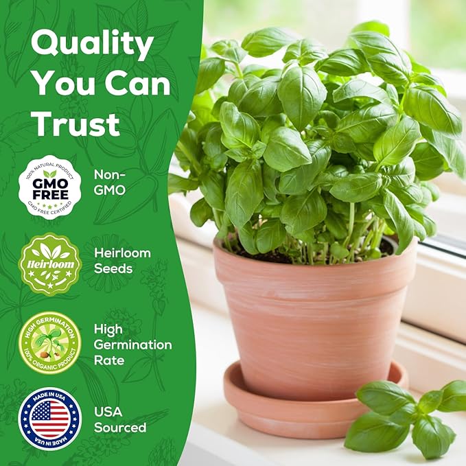 Genovese Basil Seeds for Planting - 500 Heirloom, Non-GMO Seeds - Genovese Basil Herb Seeds for Home Herb Garden, Indoor & Outdoor Herb Gardening