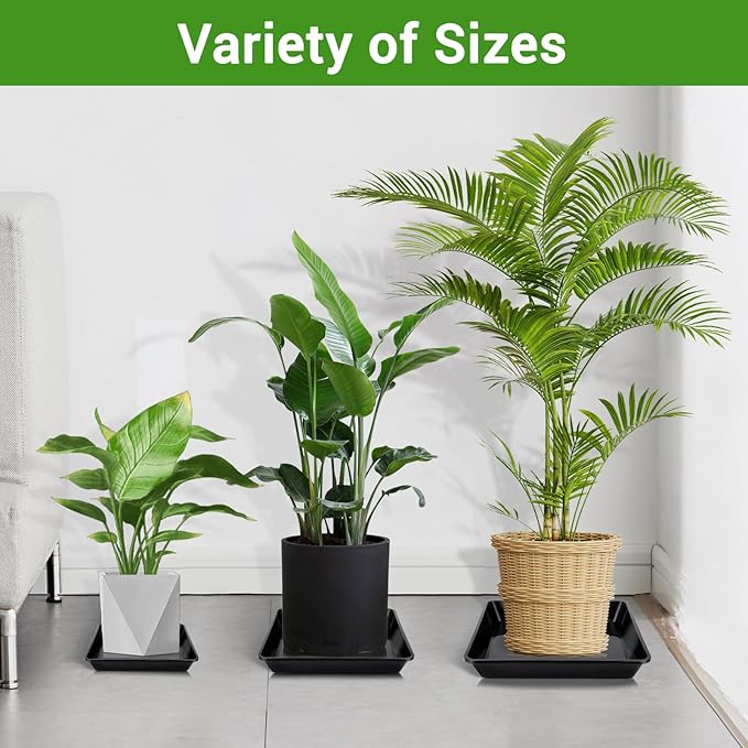 GREANER 8 Inch Humidity Tray, Black 6 PCS Plant Pot Drainage Tray, Indoor Plant Trays for Pots, Drip Trays for Potted Plants, Plastic Plant Trays for Pots, Seed Starter Growing Tray