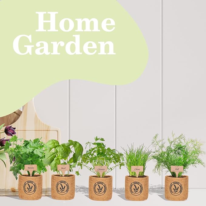 5 Herb Indoor Garden Kit- Unique Chrismas Herb Gardening Gift, Home Kitchen Gift for Mom, Friends, and Gardeners, Basil, Parsley, Chives, Cilantro, Dill