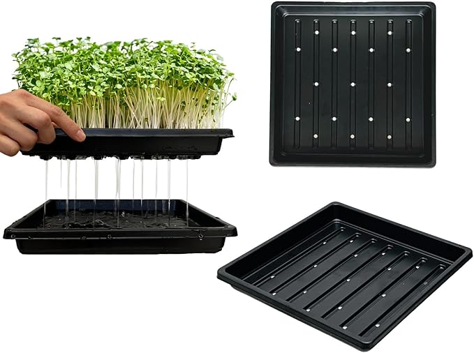 Plant Growing Trays for Seedlings Microgreen Seed Starter Shallow Plants Tray Standard 1010 Tray with Drain Holes 10 Pack Black 10.7 x 10.7 inches Square Trays