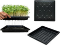 Plant Growing Seed Starter Trays for Seedlings Microgreen, Shallow Plants Tray Standard 1010 Tray with Drain Holes 5 Pack Black 10.7 x 10.7 inches Square Trays