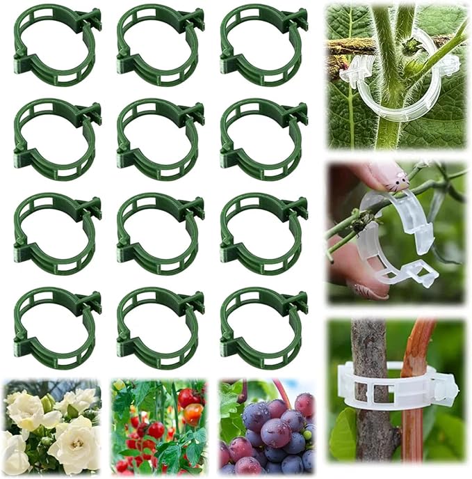 100Pcs 2025 Upgraded Plant Clip Secured Plastic Plant Clip for Climbing Plants, Plant Support Clips Tomato Clip for Climbing Plants Clips for Tomato Grape Vine Vegetables Plant Clips (200, Green)