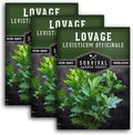 Survival Garden Seeds - Lovage Seed for Planting - 3 Packs with Instructions to Plant and Grow Perennial Levisticum Officinale Culinary Herb in Your Home Vegetable Garden - Non-GMO Heirloom Variety