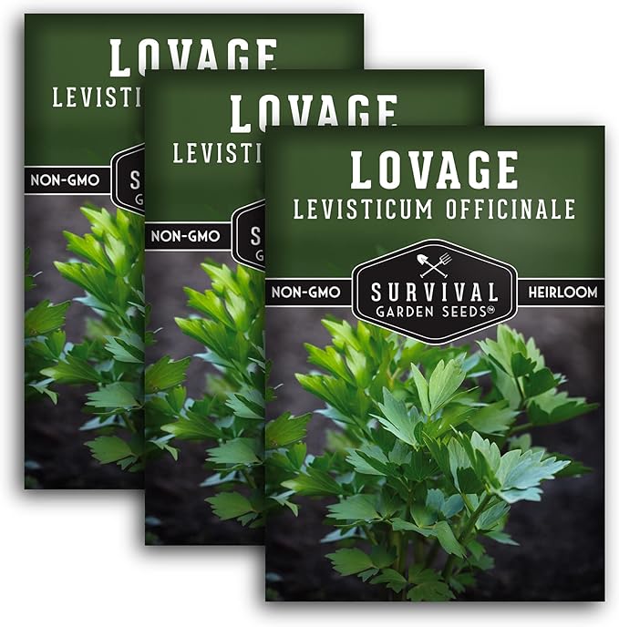 Survival Garden Seeds - Lovage Seed for Planting - 3 Packs with Instructions to Plant and Grow Perennial Levisticum Officinale Culinary Herb in Your Home Vegetable Garden - Non-GMO Heirloom Variety
