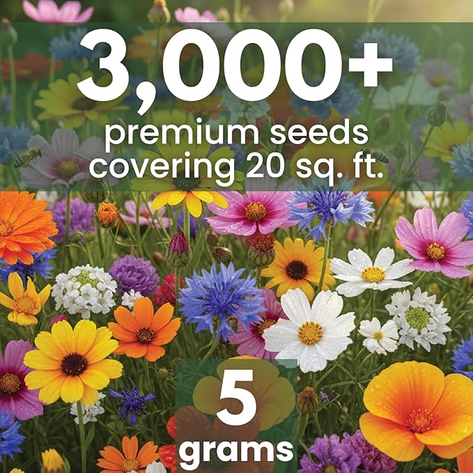 All Annual Quick Blooming Mix - 3,000 Flower Seeds for Planting - Wildflower Mix - 5 Gram Pouch
