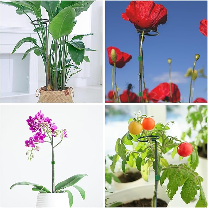 2 Pack Plant Support Sticks, 3 Sizes (12 or 24 or 36 inch) Garden Plant Stake, Plant Support Rings for Indoor Outdoor with Plants Ties, Plants Stakes for Flowers, Climbing Plants, Tomatoes