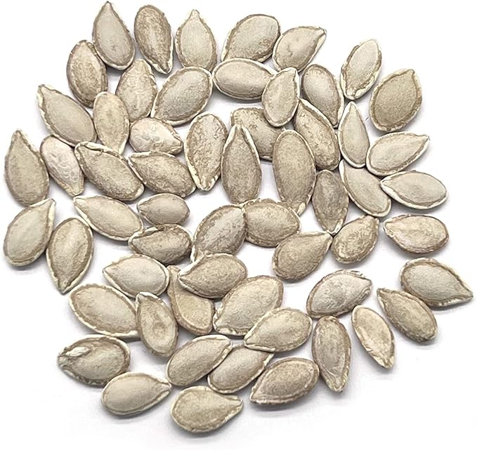 The Old Farmer's Almanac Heirloom Winter Squash Seeds (Waltham Butternut) - Approx 40 Seeds - Non-GMO, Open Pollinated, USA Origin