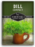 Compact Dill Seeds for Planting – Dwarf Dill for Containers & Small-Space Gardens – High Germination Heirloom Non-GMO Herb for Indoor or Outdoor Growing – Survival Garden Seeds (1 Pack)