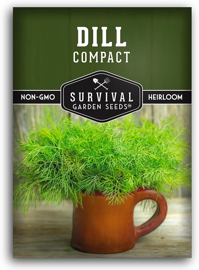 Compact Dill Seeds for Planting – Dwarf Dill for Containers & Small-Space Gardens – High Germination Heirloom Non-GMO Herb for Indoor or Outdoor Growing – Survival Garden Seeds (1 Pack)