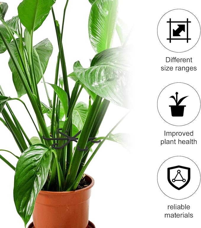 4pcs Plant Stem Support, Climbing Houseplant Leaf Support Ring Plant Climbers Stem Holders Plants Climbing Rack Plant Flower Gardening Growth Cultivation Accessories Tools(Black)
