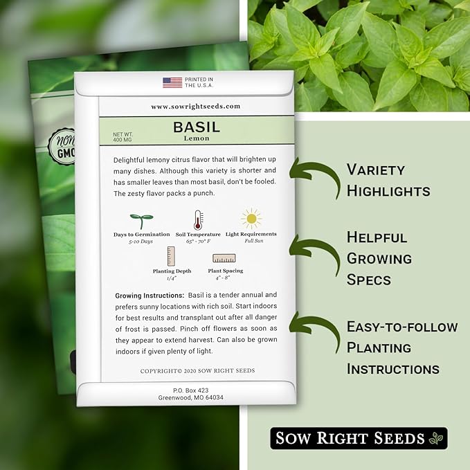 Sow Right Seeds - Lemon Basil Seed for Planting - Non-GMO Heirloom Packet with Instructions to Grow a Kitchen Herb Garden - Indoors or Outdoor - Great for Hydroponic Gardening, Lemony Flavor (1)