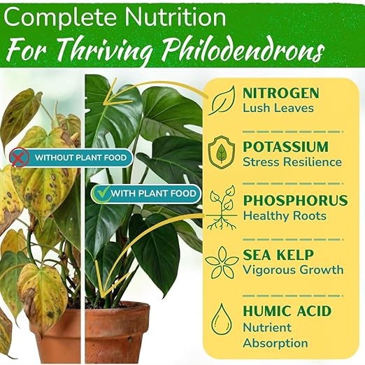 Philodendron Fertilizer – Liquid Plant Food for Strong Roots, Healthy Growth & Lush Foliage | 3-3-3 NPK Formula with Sea Kelp, Humic & Fulvic Acid | Essential Nutrients for Tropical Houseplants | 8 oz