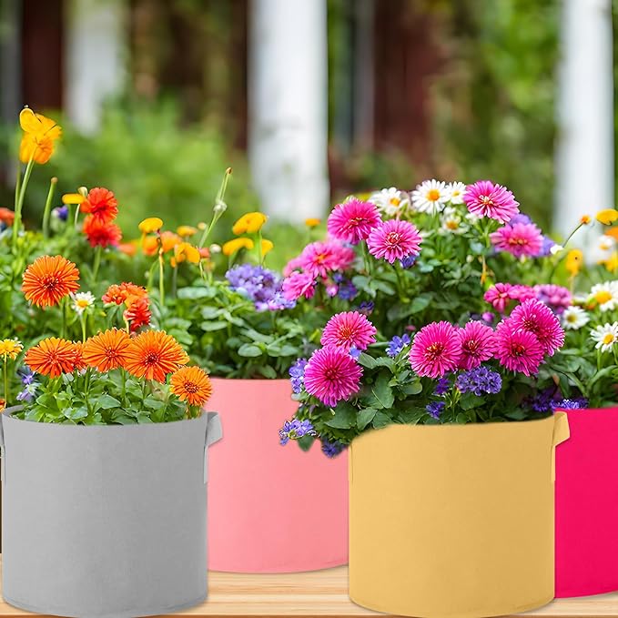 Colored Fabric Grow Bags Bulk Colorful Plant Grow Bags Nonwoven Fabric Pots with Handles Seeds Vegetables Tomato Planter Grow Buckets for Outdoor Garden Fruits Flower, 10 Colors(10 Pack,3 Gal)
