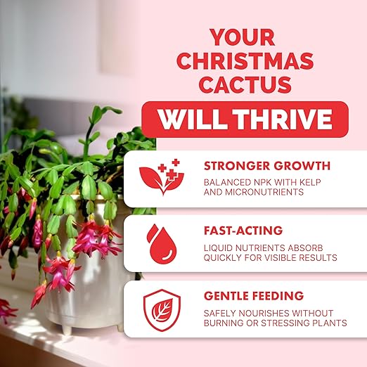 TPS NUTRIENTS Christmas Cactus Fertilizer for All Christmas Cacti and Schlumbergera Cacti, Liquid Plant Food 8 oz (250mL)
