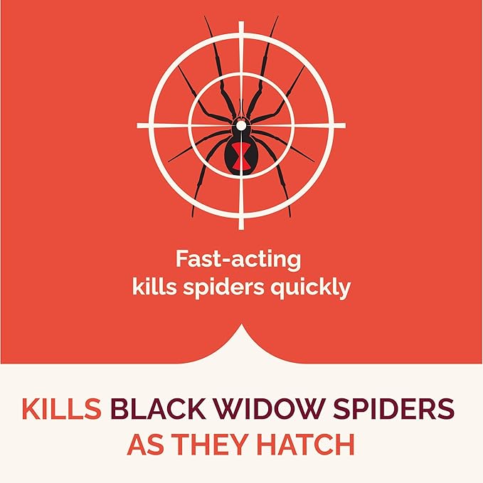 Hot Shot Spider & Scorpion Killer (Aerosol), Kills Large Spiders and Scorpions in Seconds, Including Black Widow, Brown Recluse and Wolf Spiders, 16 Ounces