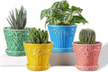 Metahom Succulent Ceramic Pots, 3.8 Inch Small Plant Pots with Drainage Hole & Saucer, Flower Planter Pot for House Plants Cacti, Home Decor, Set of 4, Assorted Colors