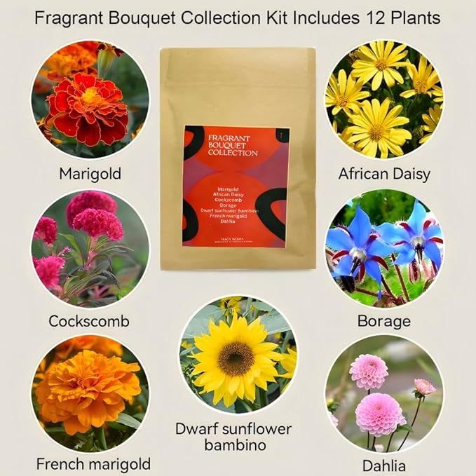Inbloom Fragrant Bouquet Flower 12 Pods Seed Pod Kit for AeroGarden, iDoo, Ahopegarden, GARDENCUBE(350+ Flower Seeds with Marigold, Daisy, Cockscomb, Borage, Dwarf Sunflower Bambino, Marigold, Dahlia)