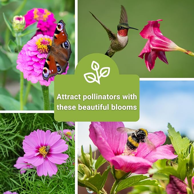 Sow Right Seeds - Collection of Pink Flower Seeds for Planting - Non-GMO Heirloom Packets with Instructions - Wonderful Rosy Blooms to Attract Pollinators - Cut and Come Again - Rare Varieties