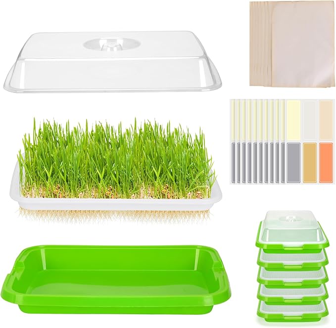 Pack of 6 Microgreens Growing Kit, Microgreen Trays for Seed Sprouter, Sprouting Tray with Lid for Growing Fresh Sprouts, Wheat-Grass, Alfalfa Seed Germination (Microgreens Growing Kit)