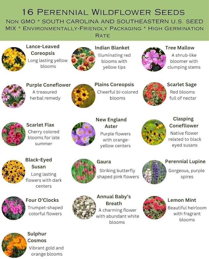 South Carolina Bulk Perennial Wildflower Seed Mix 1lb Covers 2,000sq-ft - Attract Pollinators, Multi-Color Blooms - Southeast US Species Plant in Spring/Fall, Earth-Friendly Packaging (1 Pound)