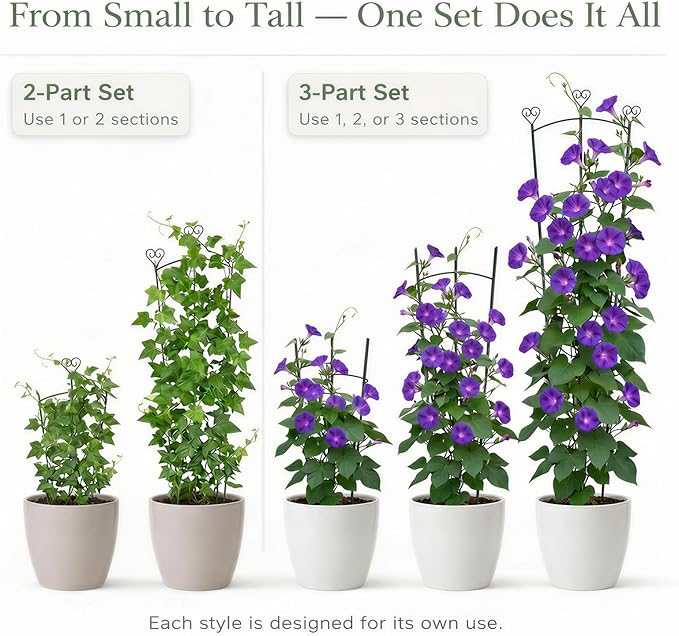 2 Pack Trellis for Climbing Plants Indoor, 31.5 Inch & 46.5 Inch Garden Plant Trellis for Climbing Plants Outdoor, Expandable House Plant Support for Pothos, Ivy, Monstera, Hoya, Black