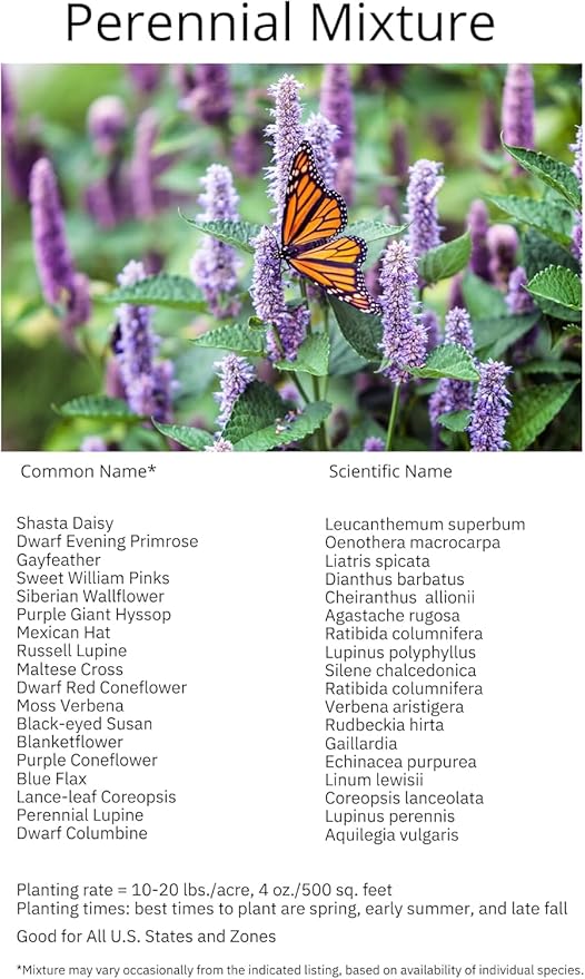 United States Nationwide Bulk Perennial Wildflower Seed Mix - All U.S. Zones - Plant in Spring and Fall (1 Pound Covers 2,000 Square feet) (1 Pound)