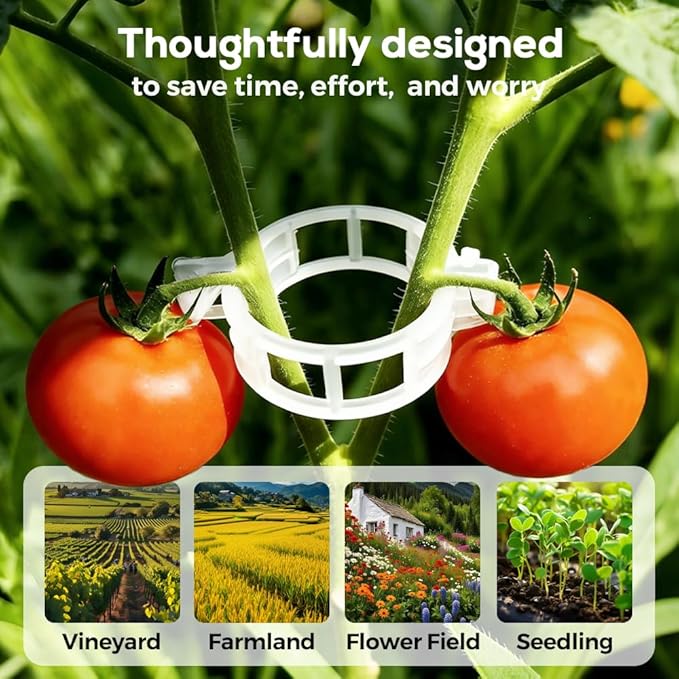 Secured Plastic Plant Clip, 2026 Upgrade Garden Clips for Climbing Plants, Plastic Trellis Clips Tomato Grape Vine Vegetables Plant Fixing Clips (100, Green)