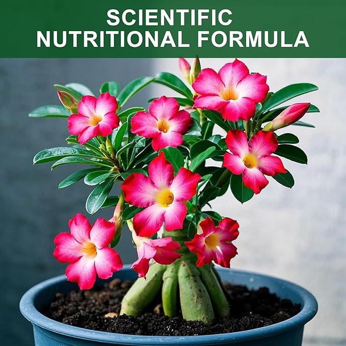 Organic Desert Rose Potting Soil Mix for Healthy Growth 2qt- 100% Natural Potting Mix - Specially Formulated Nutrient-Rich Plant Soil for Desert Rose Plant