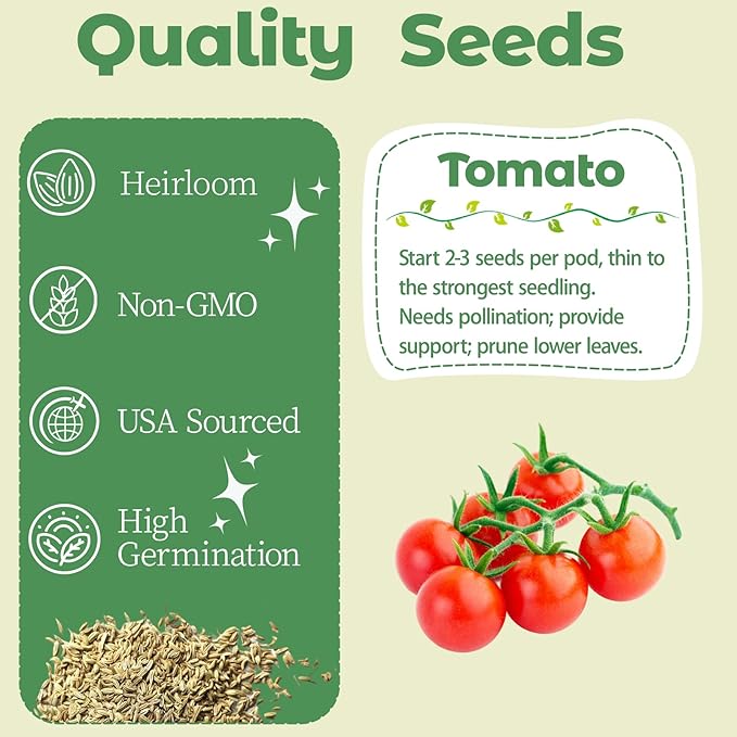 Tiny Tim Cherry Tomato Seed Pod Kit, 8-Pods Hydroponic Refill Pack, Compatible with AeroGarden and All Indoor Gardens, Includes Grow Sponges, Plant Food, Grow Anything Seed Pod Kit, 8-POD