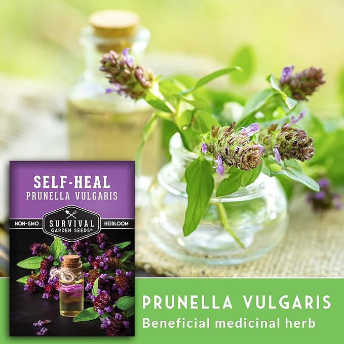 Self-Heal Seeds for Planting - Prunella Vulgaris (All-Heal, Selfheal) Hardy Perennial Ground Cover & Pollinator Wildflower, Non-GMO Heirloom Herb - Survival Garden Seeds (3 Packs)