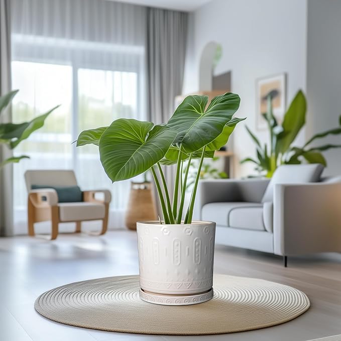 Eightpot Ceramic Pots for Plants 12 Inch - Large Ceramic Planters for Indoor Plants Outdoor Modern Flower Pot with Drainage Holes and Saucer for Office Garden Patio White