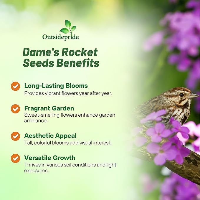 Outsidepride Dame's Rocket Flower Seeds - 5 Lbs. Perennial, Easy to Grow, Deer Resistant & Self-Seeding Wildflower Seeds for Planting Vibrant and Fragrant Blooms in Pollinator & Butterfly Gardens