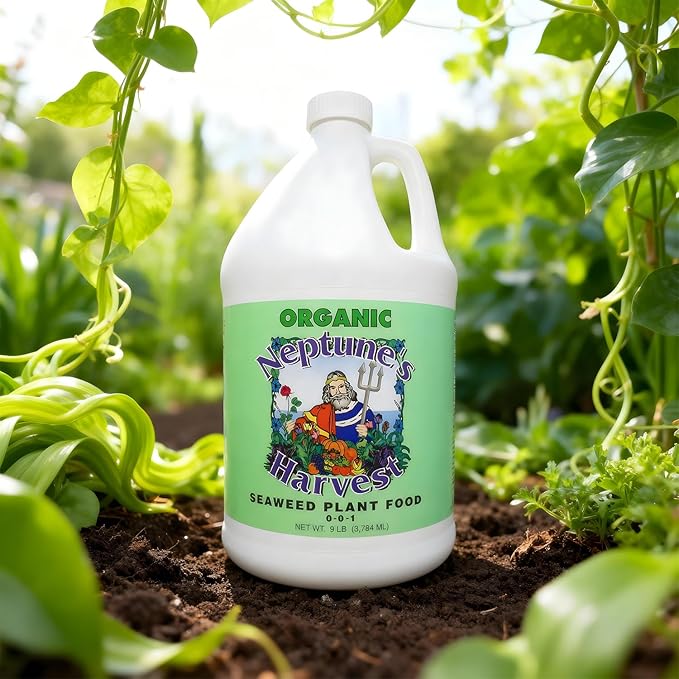 Neptune’s Harvest Seaweed Plant Food (0-0-1) - 1 Gallon Bottle - Multi-Purpose Seaweed Organic Liquid Fertilizer - Indoor & Outdoor Fertilizer for Lawns, Gardens, Vegetables, and Flowers