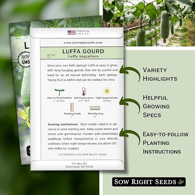 Sow Right Seeds - Luffa Gourd Seed for Planting - Non-GMO Heirloom Packet with Instructions to Plant a Home Vegetable Garden - Grow Your Own Loofah Sponge at Home - Show Off Unique Gourds (1)