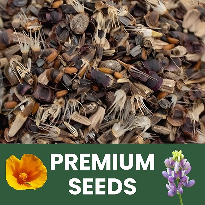 All Annual Quick Blooming Mix - 16,000 Flower Seeds for Planting - Wildflower Mix - Large 1 Ounce Packet