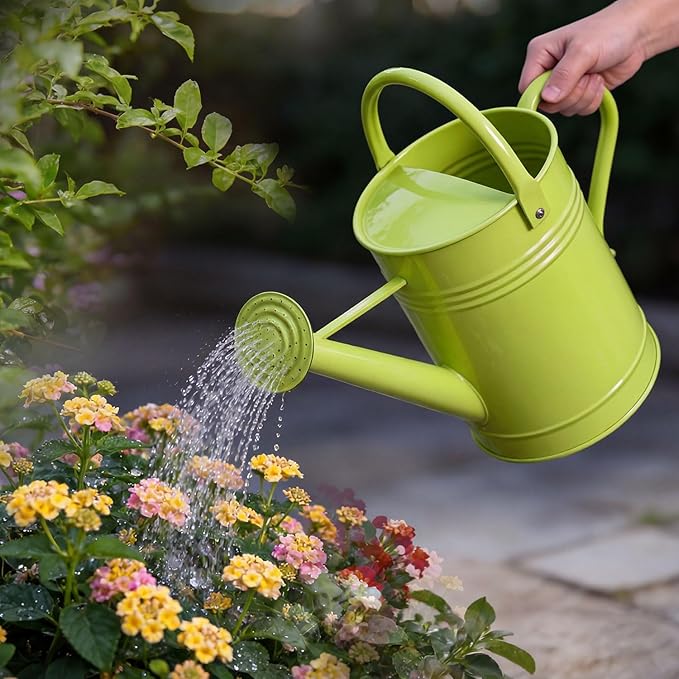 6.5L Metal Watering Can for Outdoor & Indoor Plants, Galvanized Steel Metal Water Can with Removable Spout, Movable Top Handle, Rust-Resistant Watering Pot for Garden, Lawn, Flowers