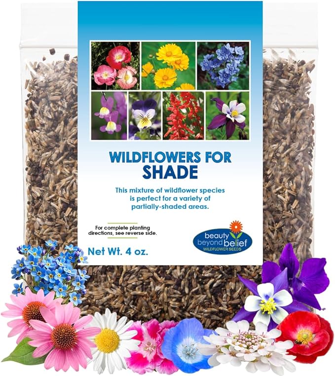 BBB Seed Partial Shade Wildflower Seeds 4oz - Open-Pollinated Wildflower Seed Mix Packet, No Fillers, Annual, Perennial Wildflower Seeds for Planting Year Round, 1/4 Pound