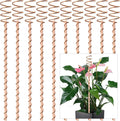 10Pack Electroculture Plant Stakes, 12" Electroculture Copper Gardening Antenna, Copper Coil Plant Stakes for Garden,Garden Stakes for Plants Fruits Vegetables Growth,Eco-Friendly,High-Yield