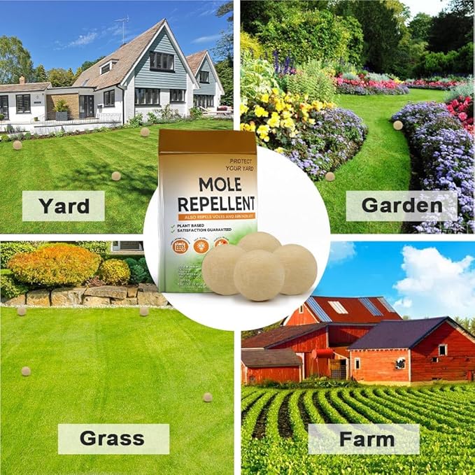Mole Repellent Outdoor,Vole Repellent,Groundhog Repellent Outdoor,Mole Control,Mole Deterrent for Yard,Safe for Family, Pets & Plants,Lasts up to 60 Days - 8P