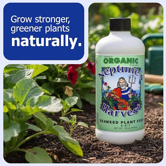 Neptune’s Harvest Seaweed Plant Food (0-0-1) - 16oz Pint - Multi-Purpose Seaweed Organic Liquid Fertilizer - Indoor & Outdoor Plant Fertilizer for Lawns, Gardens, Vegetables, & Flowers