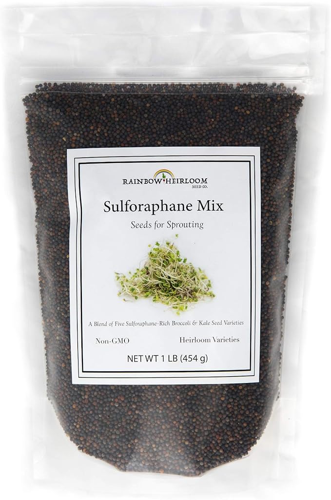 Sulforaphane SPROUTING Seed Mix | Perfect for Sprouting Jars & Seed Sprouters | 5 Varieties of Kale & Broccoli Sprouting Seeds | Non GMO Heirloom Seeds | 1 LB Resealable Bag | Rainbow Heirloom Seed Co