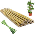 Natural Bamboo Plant Stakes (18in-30PCS)