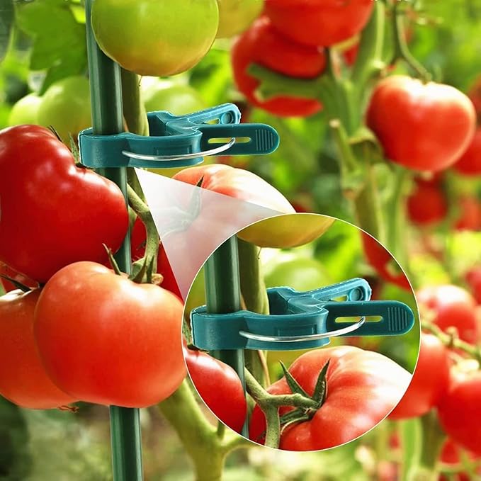 100PCS Tomato Clips Garden Plant Clips | Durable Green Grippers for Tomato Cages, Bamboo Stakes, Vines & Stems | Versatile Support, Training & Trellis Clip for Plant