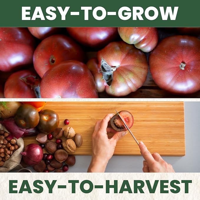 Cherokee Purple Tomato – 125 Premium Seeds for Planting – Rich, Juicy, Historic Heirloom for The 2026 Season – 600 Milligram Pouch
